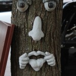 Funny tree that Justin found while I was running